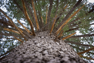 Similar image 623040