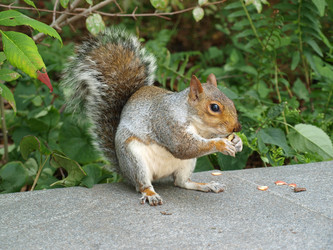 Similar image 623044