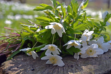 Similar image 623074