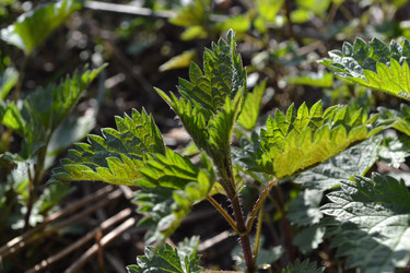 Similar image 623077