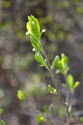 Similar image 623080