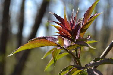 Similar image 623082