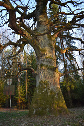 Similar image 623086