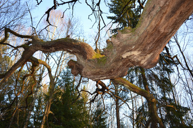 Similar image 623089