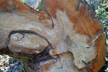 Similar image 623090