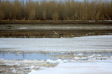 Similar image 623141