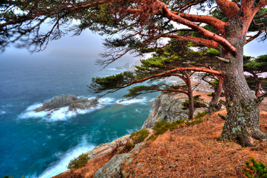 Similar image 623162