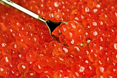 Similar image 623166