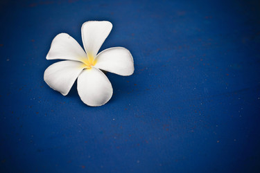 Similar image 623168