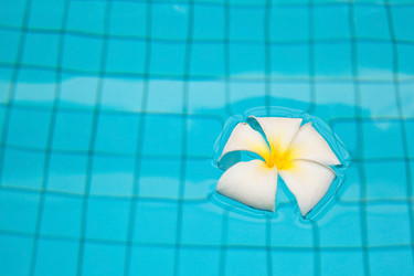 Similar image 623172