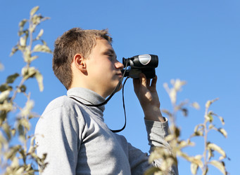 Similar image 623209