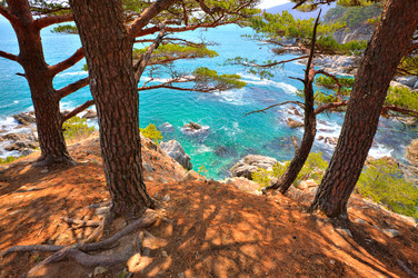 Similar image 623214