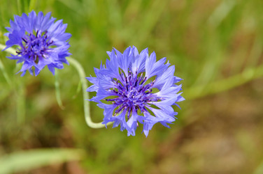 Similar image 623230