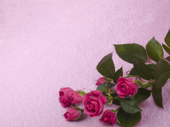 Similar image 623247