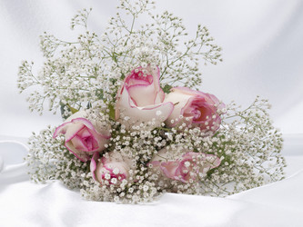 Similar image 623253