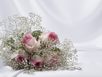 Similar image 623257