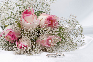 Similar image 623259