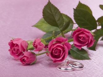 Similar image 623263