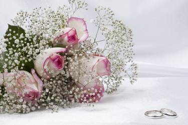 Similar image 623265