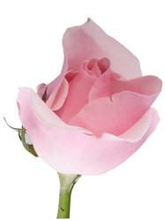 Similar image 623270