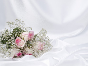 Similar image 623271