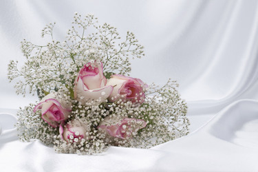 Similar image 623272