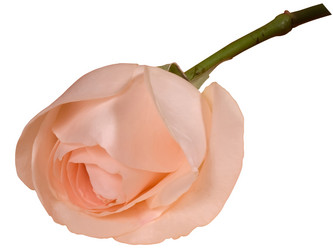 Similar image 623274