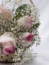 Similar image 623279