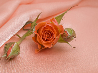 Similar image 623289