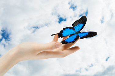 Similar image 623294