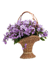 Similar image 623296