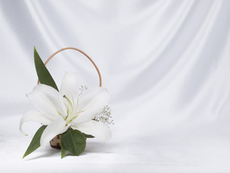 Similar image 623299