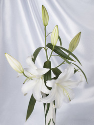 Similar image 623301