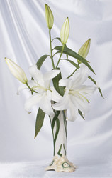 Similar image 623304