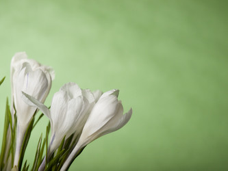 Similar image 623307