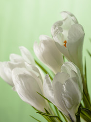 Similar image 623309