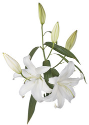 Similar image 623310