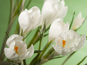 Similar image 623312