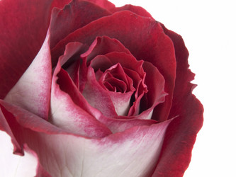 Similar image 623315