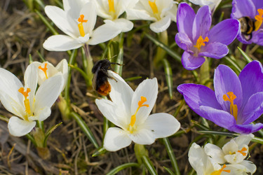 Similar image 623318