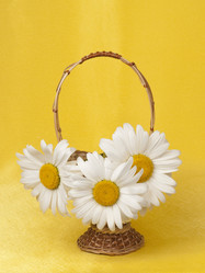 Similar image 623320