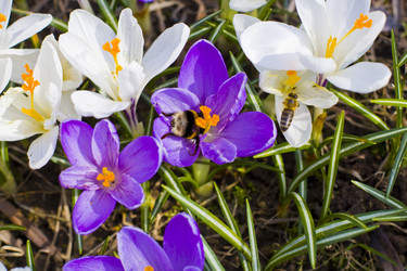 Similar image 623321