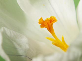 Similar image 623322