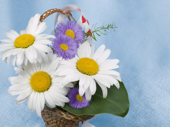 Similar image 623324