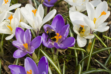 Similar image 623325