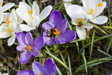 Similar image 623326