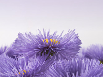 Similar image 623327