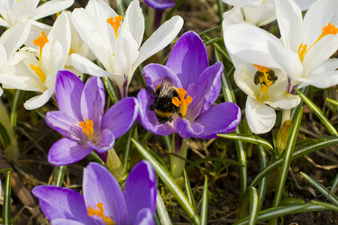 Similar image 623328