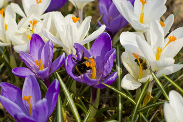 Similar image 623329