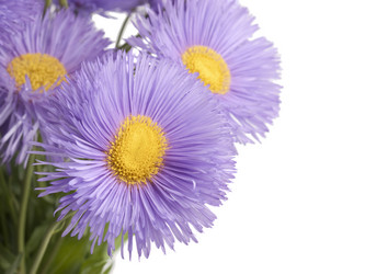 Similar image 623330